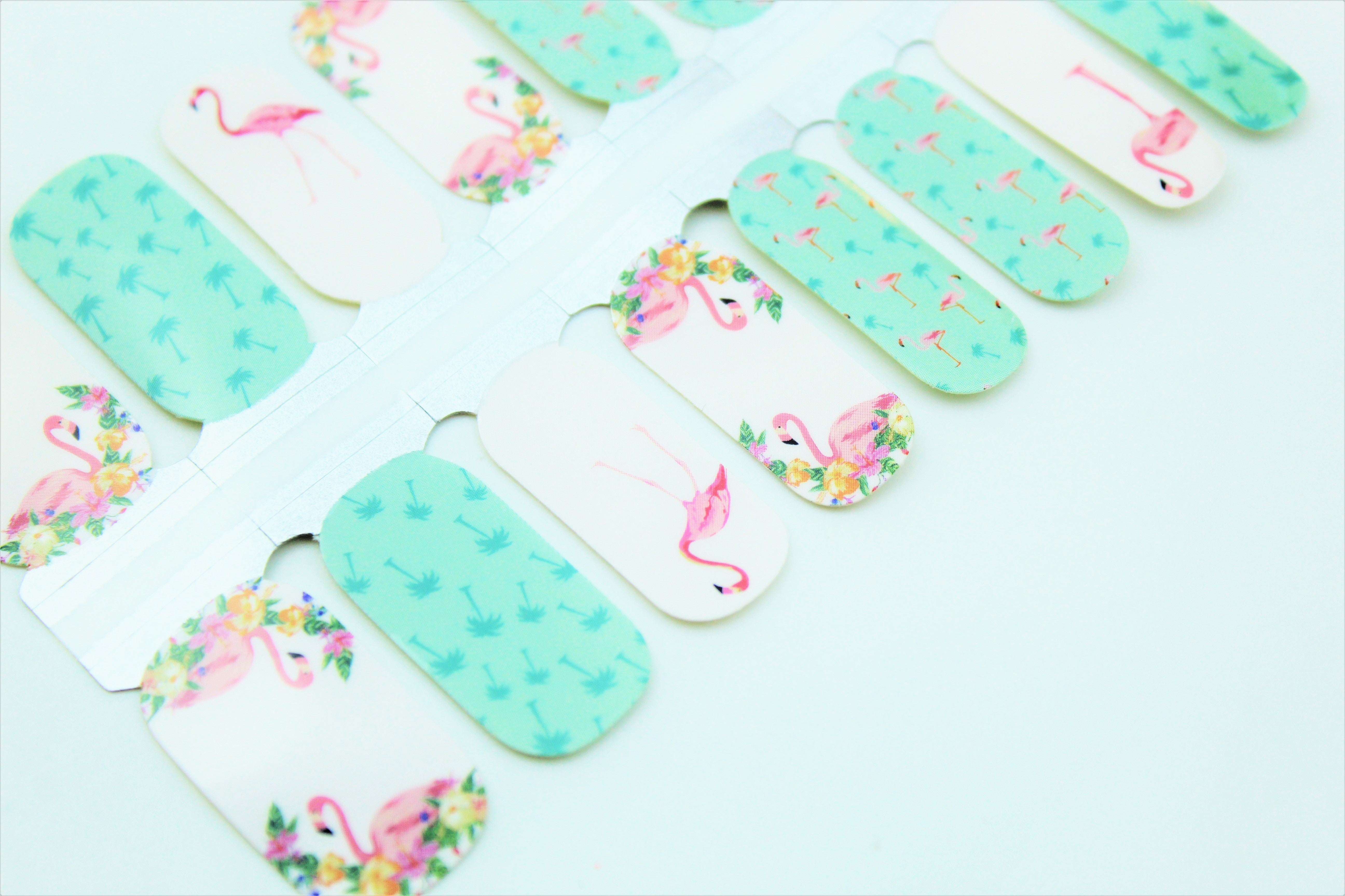 Flamingo Paradise